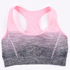 Seamless Ombre Sports Bra