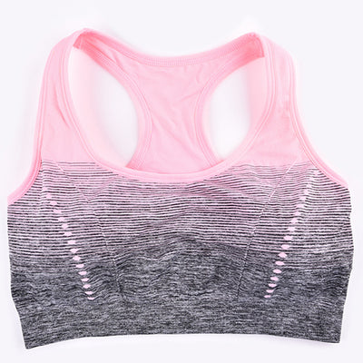 Seamless Ombre Sports Bra