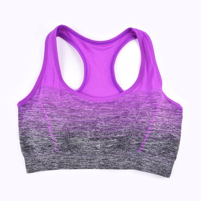 Seamless Ombre Sports Bra