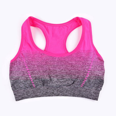 Seamless Ombre Sports Bra