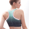 Seamless Ombre Sports Bra