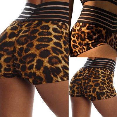 Leopard High Waist Shorts